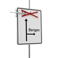  Auskreuzvorrichtungen Auskreuzvorrichtung starr 2x1200x50 RA2B, berührungsfrei 12451771